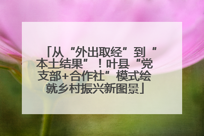 从“外出取经”到“本土结果”！叶县“党支部+合作社”模式绘就乡村振兴新图景