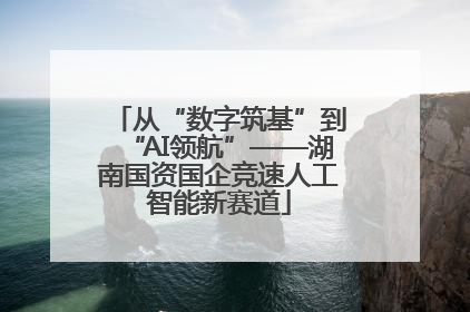 从“数字筑基”到“AI领航”——湖南国资国企竞速人工智能新赛道