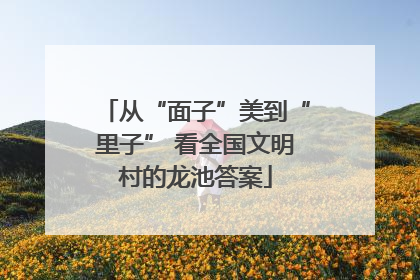 从“面子”美到“里子” 看全国文明村的龙池答案