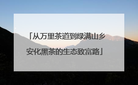 从万里茶道到绿满山乡 安化黑茶的生态致富路