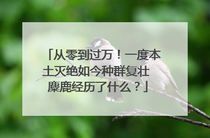 从零到过万！一度本土灭绝如今种群复壮 麋鹿经历了什么？