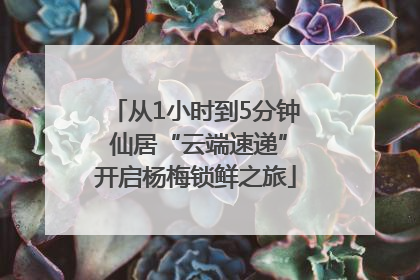 从1小时到5分钟 仙居“云端速递”开启杨梅锁鲜之旅