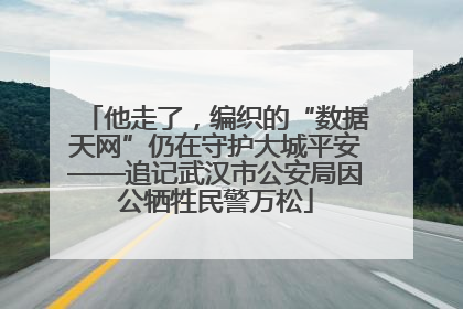 他走了，编织的“数据天网”仍在守护大城平安——追记武汉市公安局因公牺牲民警万松