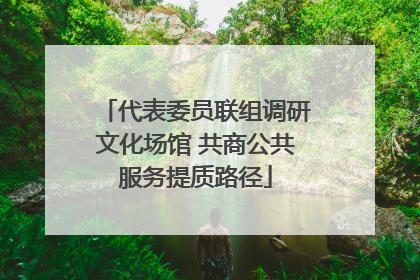 代表委员联组调研文化场馆 共商公共服务提质路径