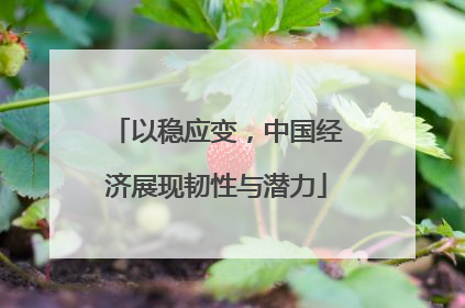 以稳应变，中国经济展现韧性与潜力