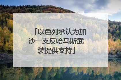 以色列承认为加沙一支反哈马斯武装提供支持