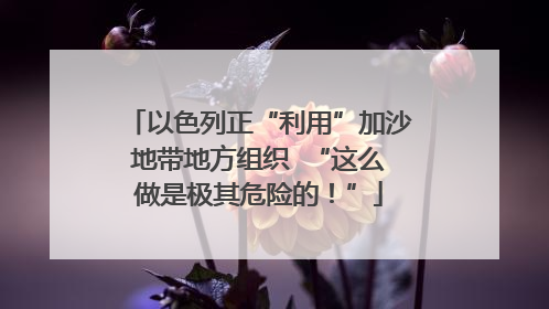 以色列正“利用”加沙地带地方组织  “这么做是极其危险的！”