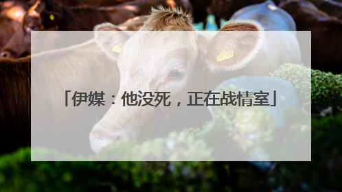 伊媒：他没死，正在战情室