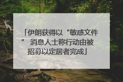 伊朗获得以“敏感文件” 消息人士称行动由被招募以定居者完成