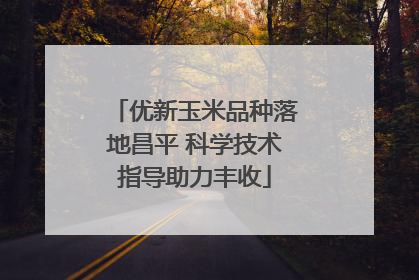 优新玉米品种落地昌平 科学技术指导助力丰收