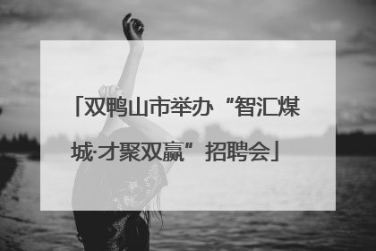 双鸭山市举办“智汇煤城·才聚双赢”招聘会