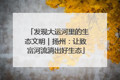 发现大运河里的生态文明｜扬州：让致富河流淌出好生态