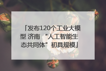 发布120个工业大模型 济南 “人工智能生态共同体”初具规模