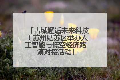 古城邂逅未来科技！苏州姑苏区举办人工智能与低空经济路演对接活动