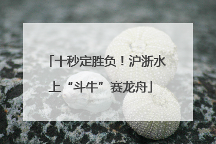 十秒定胜负！沪浙水上“斗牛”赛龙舟