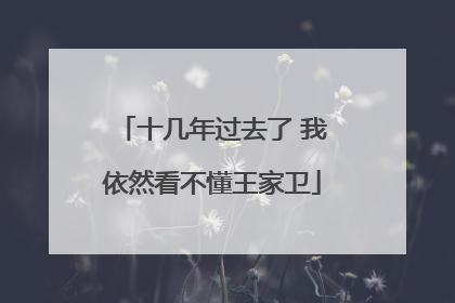 十几年过去了 我依然看不懂王家卫