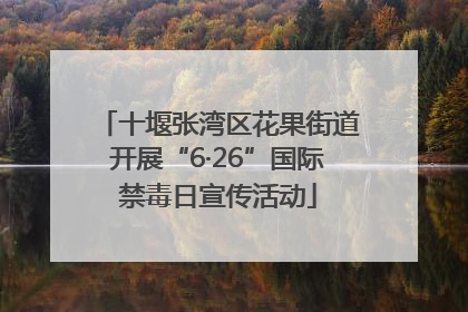 十堰张湾区花果街道开展“6·26”国际禁毒日宣传活动