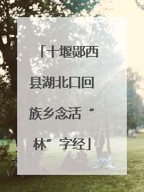 十堰郧西县湖北口回族乡念活“林”字经