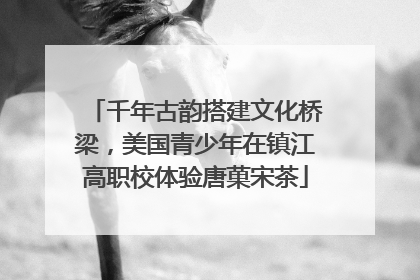 千年古韵搭建文化桥梁，美国青少年在镇江高职校体验唐菓宋茶