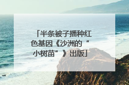 半条被子播种红色基因《沙洲的“小树苗”》出版