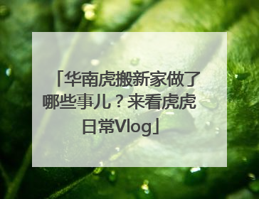 华南虎搬新家做了哪些事儿？来看虎虎日常Vlog
