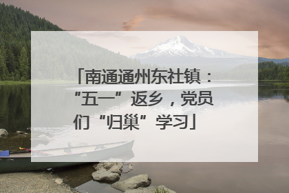南通通州东社镇：“五一”返乡，党员们“归巢”学习