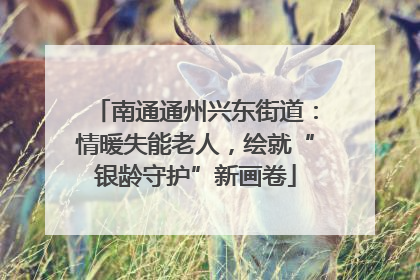 南通通州兴东街道：情暖失能老人，绘就“银龄守护”新画卷