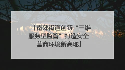 南郊街道创新“三维服务型监管”打造安全营商环境新高地
