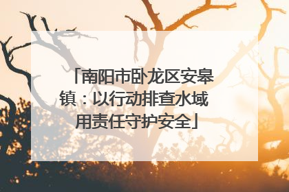 南阳市卧龙区安皋镇：以行动排查水域 用责任守护安全