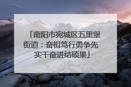 南阳市宛城区五里堡街道：奋楫笃行勇争先 实干奋进结硕果