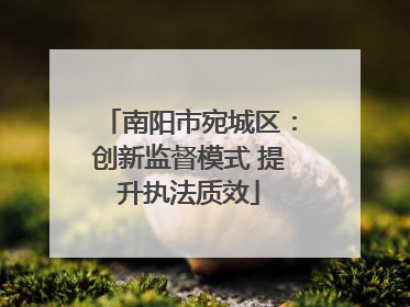 南阳市宛城区：创新监督模式 提升执法质效
