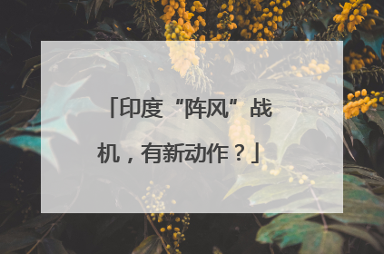 印度“阵风”战机，有新动作？