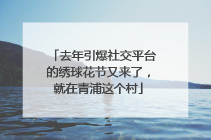 去年引爆社交平台的绣球花节又来了，就在青浦这个村