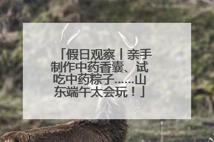 假日观察丨亲手制作中药香囊、试吃中药粽子……山东端午太会玩！