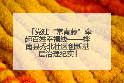 党建“常青藤”牵起百姓幸福线——桦南县秀北社区创新基层治理纪实