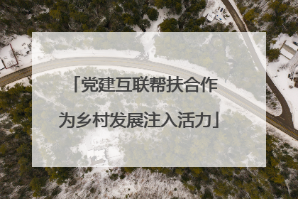 党建互联帮扶合作 为乡村发展注入活力