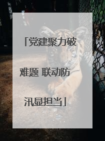 党建聚力破难题 联动防汛显担当