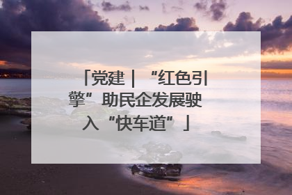 党建｜“红色引擎”助民企发展驶入“快车道”