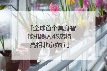 全球首个具身智能机器人4S店将亮相北京亦庄