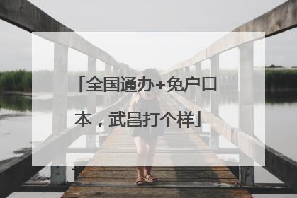 全国通办+免户口本，武昌打个样
