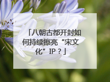 八朝古都开封如何持续擦亮“宋文化”IP？