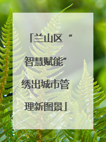 兰山区“智慧赋能”绣出城市管理新图景