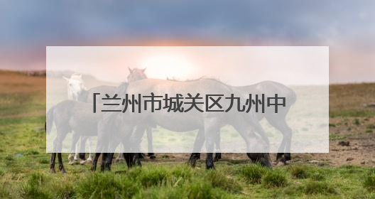 兰州市城关区九州中路社区：落实惠民政策 传递中路温度