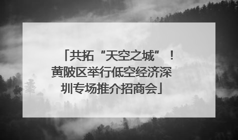 共拓“天空之城”！黄陂区举行低空经济深圳专场推介招商会