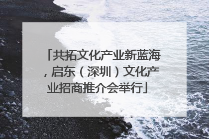 共拓文化产业新蓝海，启东（深圳）文化产业招商推介会举行
