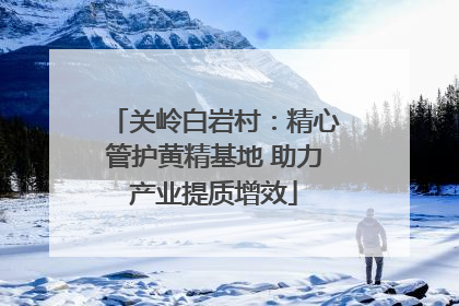 关岭白岩村：精心管护黄精基地 助力产业提质增效