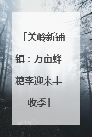 关岭新铺镇：万亩蜂糖李迎来丰收季