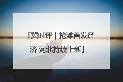 冀时评｜抢滩首发经济 河北持续上新