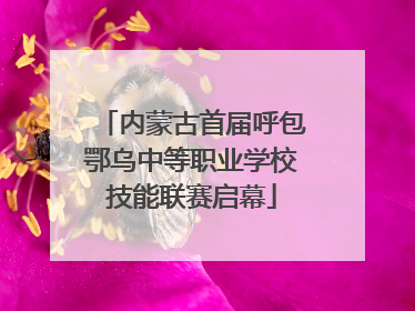 内蒙古首届呼包鄂乌中等职业学校技能联赛启幕