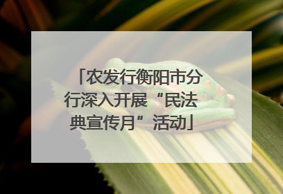 农发行衡阳市分行深入开展“民法典宣传月”活动